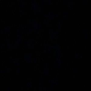 Meet your Posher, Debbianna